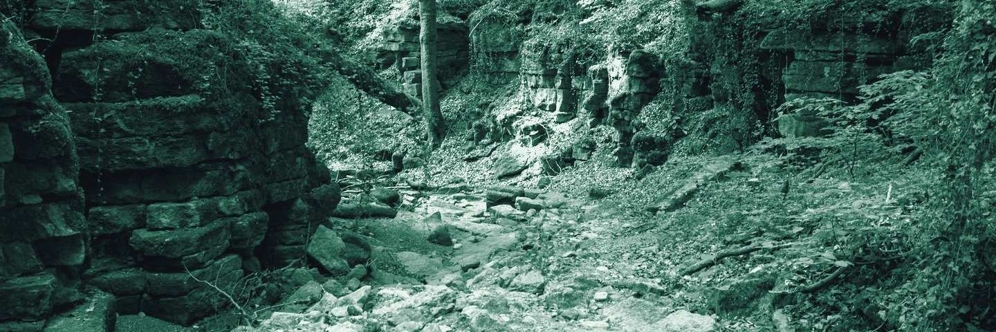 Lit de rivière à sec et rocailleux dans une forêt (Mullerthal, Luxembourg)